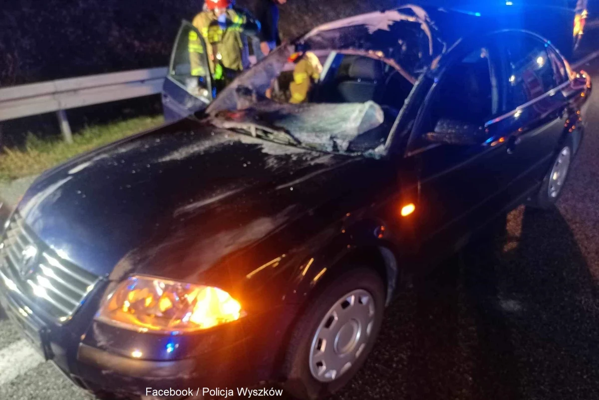 Dwie osoby zostały zabrane do szpitala w wyniku zderzenia samochodu osobowego z łosiem na trasie S8 w Turzynie (woj. mazowieckie). Zwierzę zginęło na miejscu.