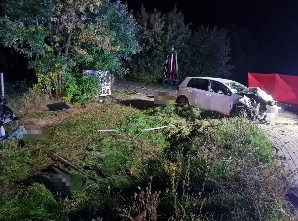 Dwóch mężczyzn w wieku 34 lat zginęło w wypadku, do którego doszło w nocy na dk nr 48 w miejscowości Białki Górne (Lubelskie). Cztery ranne osoby trafiły do szpitala. Według wstępnych ustaleń kierujący oplem nie ustąpił pierwszeństwa na skrzyżowaniu. W akcji ratowniczej brało udział 30 strażaków.