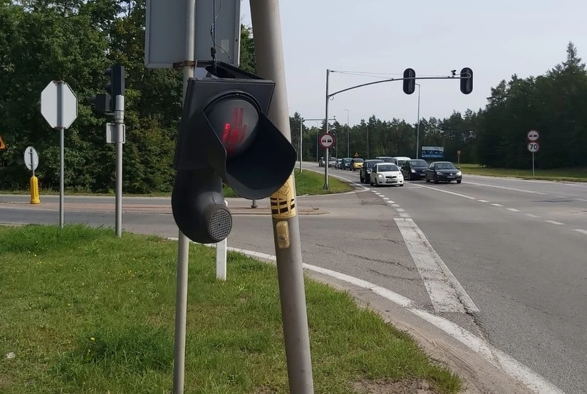 Mandat w wysokości 1,5 tys. zł i 10 punktów karnych dostała 35-latka, która wjechała w sygnalizator w Luzinie na Pomorzu. Przyczyną zdarzenia był... pająk, który podczas jazdy wszedł na nogę kobiety.