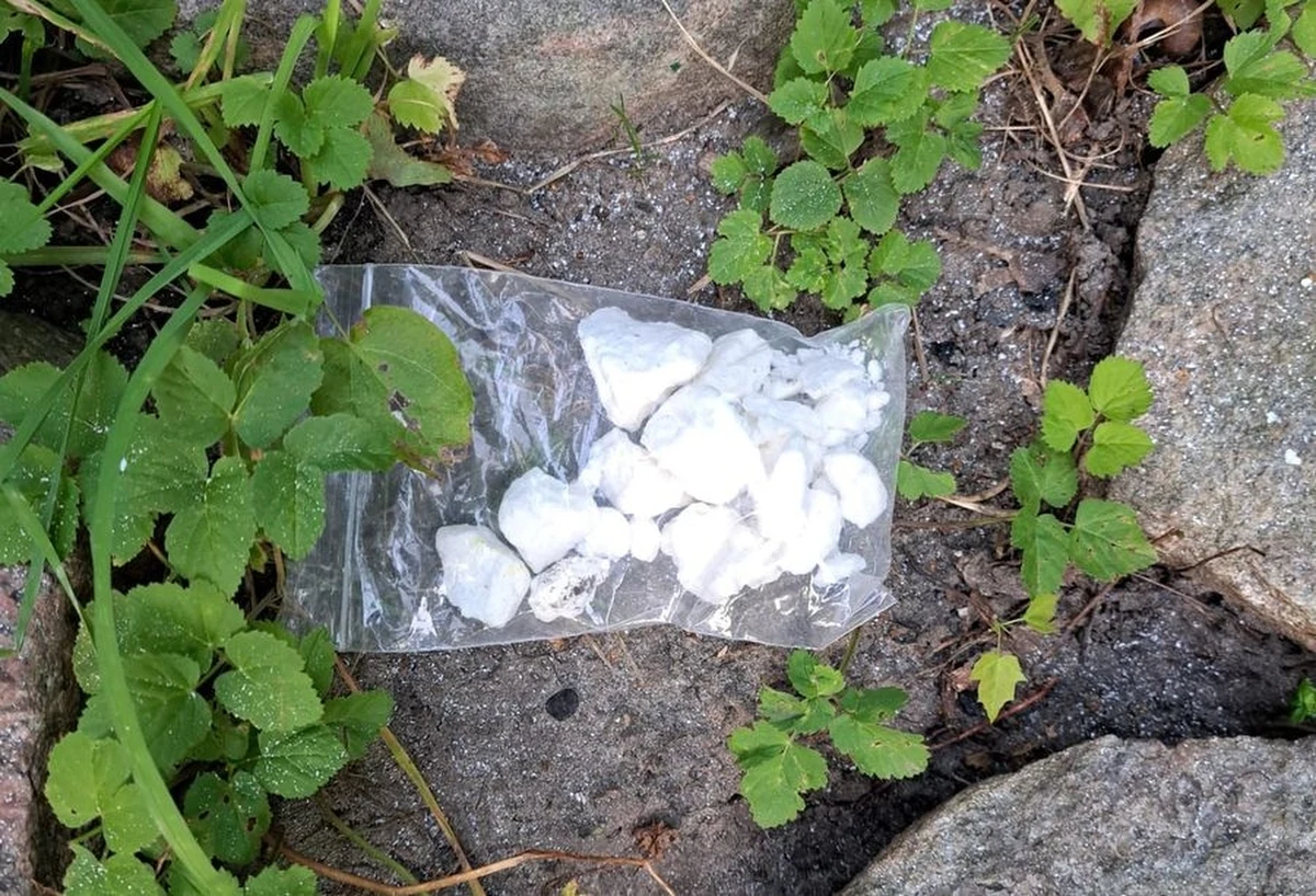 Policjanci zatrzymali 32-letniego mieszkańca Gdańska podejrzanego o posiadanie znacznej ilości narkotyków. Mężczyzna ukrywał na działce ponad kilogram amfetaminy