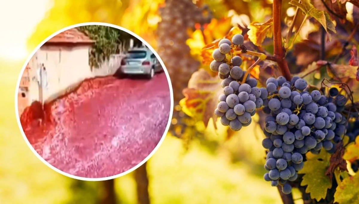 Ulicami niewielkiej portugalskiej miejscowości Levira popłynęła rzeka czerwonego wina. Trunek ten wyciekł z dwóch zbiorników lokalnej destylarni. Mowa jest o 2 200 000 litrów, które wystarczyłyby do zapełnienia basenu olimpijskiego.