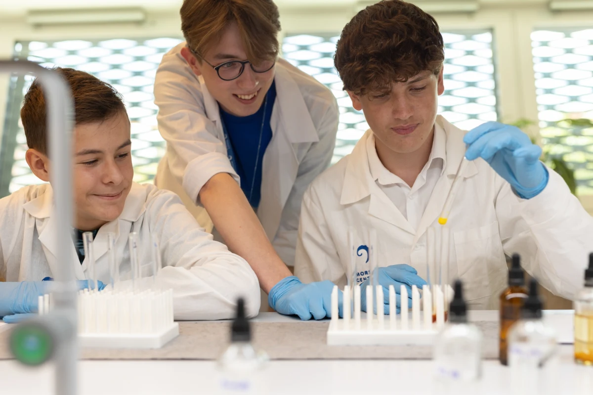 Trzy nowe pracownie otwiera Morskie Centrum Nauki w Szczecinie. Będą odbywały się tu lekcje dla dzieci i młodzieży. Przedszkolaki będą mogły zbudować z klocków i zaprogramować robota, starsi dowiedzą się, dlaczego liście jesienią zmieniają kolory, spróbują też sił w majsterkowaniu. 