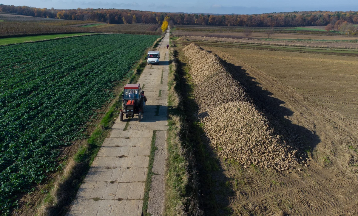 "Czeka nas poważna debata o sytuacji na polskiej wsi" - mówi dr Marcin Kędzierski, ekonomista z Uniwersytetu Ekonomicznego w Krakowie współzałożyciel i ekspert Centrum Analiz Klubu Jagiellońskiego. Gość Tomasza Terlikowskiego w radiu RMF24 zauważa, że polscy rolnicy już dzisiaj muszą myśleć o zmianie produkcji lub poszukiwaniu nowych rynków zbytu. 