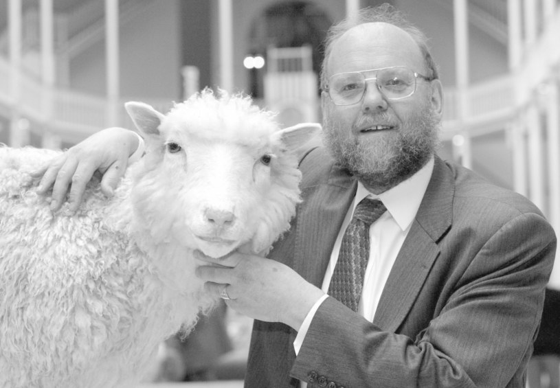 Sir Ian Wilmut, naukowiec kierujący zespołem, który w 1996 roku sklonował owcę Dolly, zmarł w wieku 79 lat. Smutne informacje potwierdził Uniwersytet w Edynburgu, gdzie do 2012 roku zajmował stanowiska profesora.