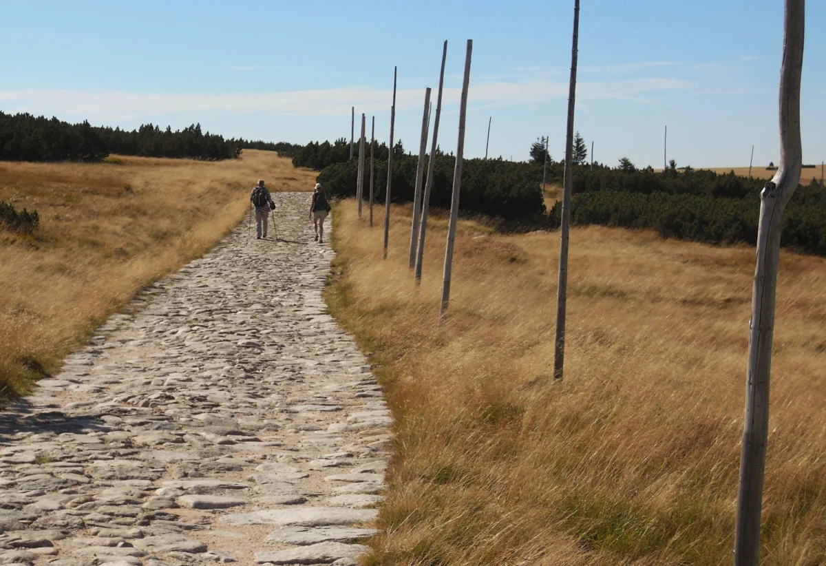 Choć jest jeszcze ciepło, to w Karkonoskim Parku Narodowym już myślą o zimie. Trwa tam kontrola i wymiana tyczek kierunkowych na szlakach. Ułatwiają one poruszanie się w trudnych warunkach pogodowych.

