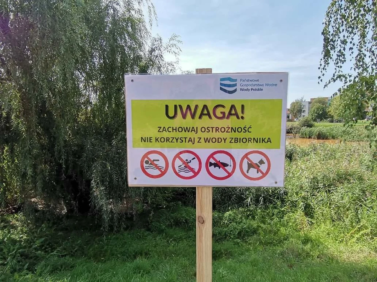 W zanieczyszczonym jeziorku Słonecznym w Szczecinie nie zostały przekroczone normy zawartości metali ciężkich - wynika z najnowszych badań próbek wody przeprowadzonych na zlecenie Wód Polskich. Od tygodnia zbiornik na Gumieńcachjest silnie zanieczyszczony. Spłynęły tam wody po pożarze ulokowanej pod Szczecinem cynkowni, a wraz z nimi brunatne osady.