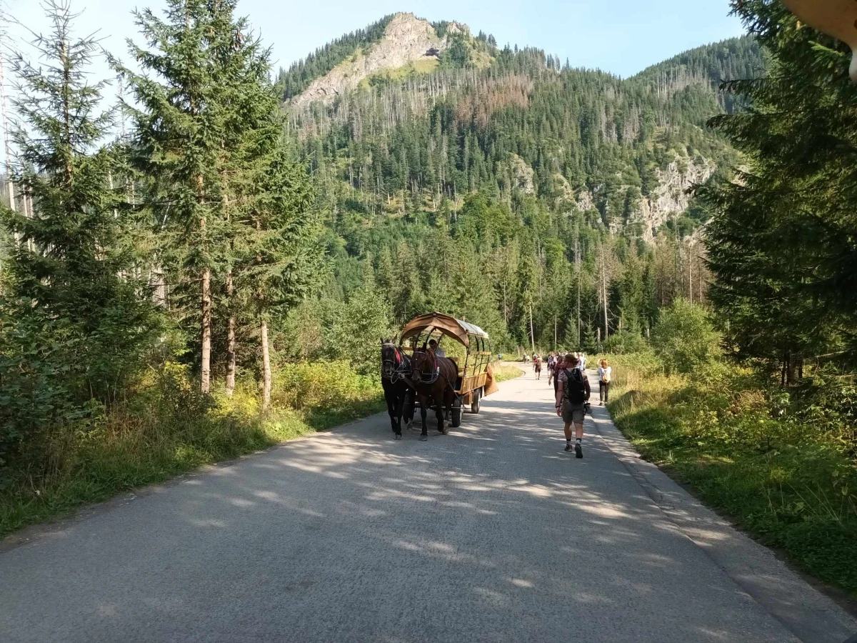 W czwartek rozpocznie się remont drogi do Morskiego Oka w Tatrach na odcinku 1 km - od Włosienicy w dół. Ten popularny wśród turystów trakt będzie całkowicie zamknięty, ale prace będą wstrzymane na weekend. Kolejne zamknięcie planowane jest od poniedziałku do piątku - informuje Tatrzański Park Narodowy.