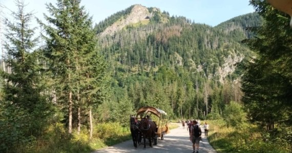 W czwartek rozpocznie się remont drogi do Morskiego Oka w Tatrach na odcinku 1 km - od Włosienicy w dół. Ten popularny wśród turystów trakt będzie całkowicie zamknięty, ale prace będą wstrzymane na weekend. Kolejne zamknięcie planowane jest od poniedziałku do piątku - informuje Tatrzański Park Narodowy.