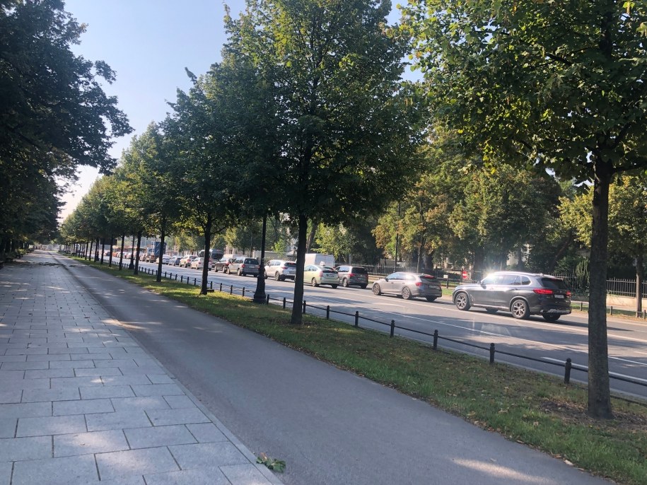 /Fot. Michał Dobrołowicz /RMF24