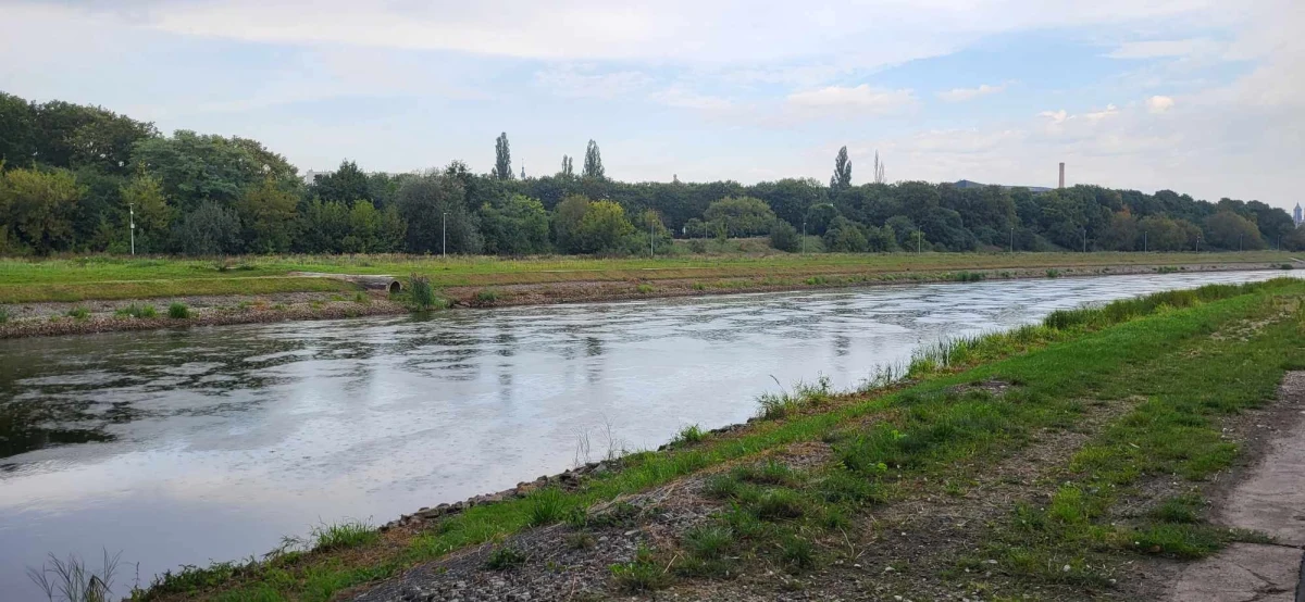 Około 350 wolontariuszy zebrało ponad pół tony śmieci w ramach akcji "Warta warta posprzątania". Dwudniowe wydarzenie z udziałem setek wolontariuszy, szkół, grup sąsiedzkich i hobbystycznych stanowi przedstart ogólnopolskiej 30. akcji Sprzątanie świata - Polska.