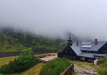 Dokumenty podpisane. Co dalej ze schroniskiem Samotnia?