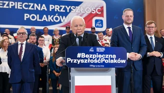 Jarosław Kaczyński odpowiada KO: Bardzo udany spot z moim kotem