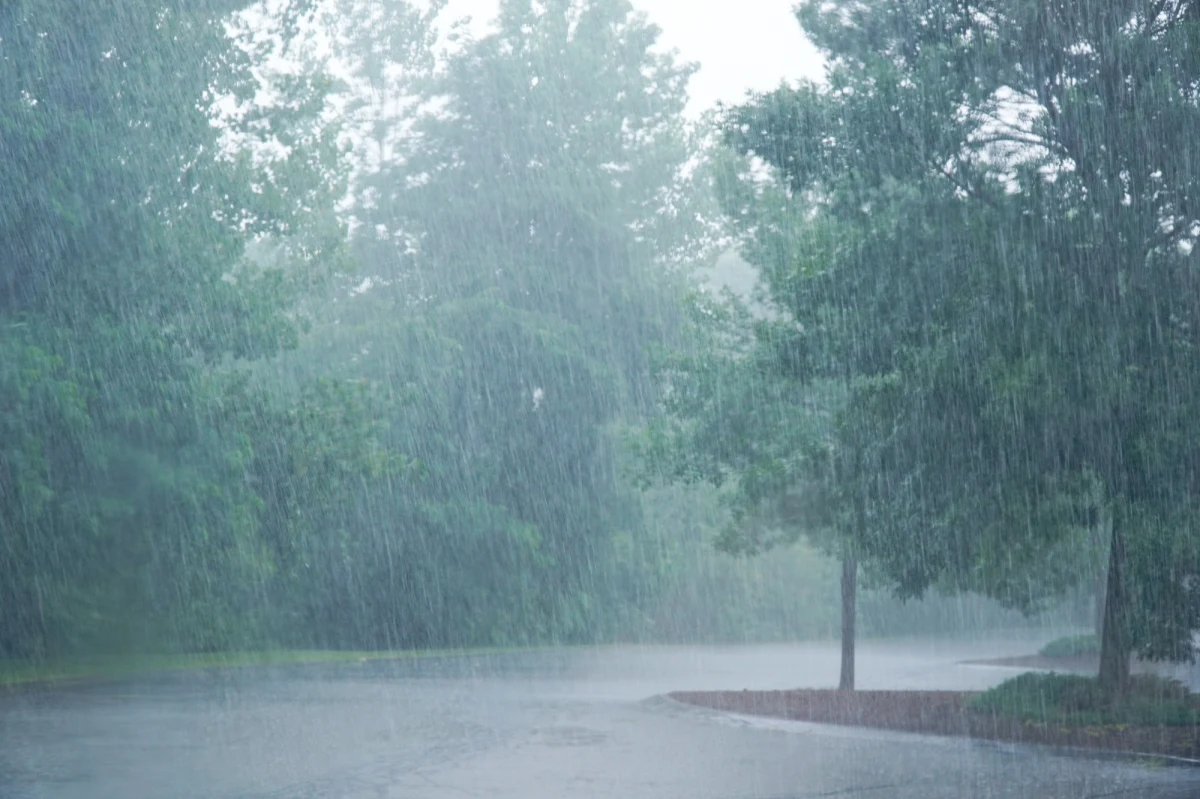 Lato na chwilę odpuszcza, choć to jeszcze nie koniec ciepłych dni. Instytut Meteorologii i Gospodarki Wodnej wydał rano ostrzeżenia pierwszego stopnia przed silnym deszczem z burzami dla południowych powiatów woj. podkarpackiego, małopolskiego i śląskiego. Opadom będą towarzyszyć porywy wiatru do 65 km/h, możliwy jest również grad.