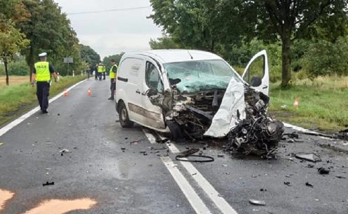 Jedna osoba nie żyje, a dwie - w tym 8-letnie dziecko - zostały zabrane do szpitala po wypadku w Gogołowicach na Dolnym Śląsku.