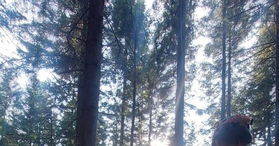 Pomocy ratowników Grupy Podhalańskiej GOPR potrzebowała kobieta na paralotni, która zawisła na drzewach w rejonie szczytu góry Ciecień, koło miejscowości Wiśniowa w Beskidzie Wyspowym.