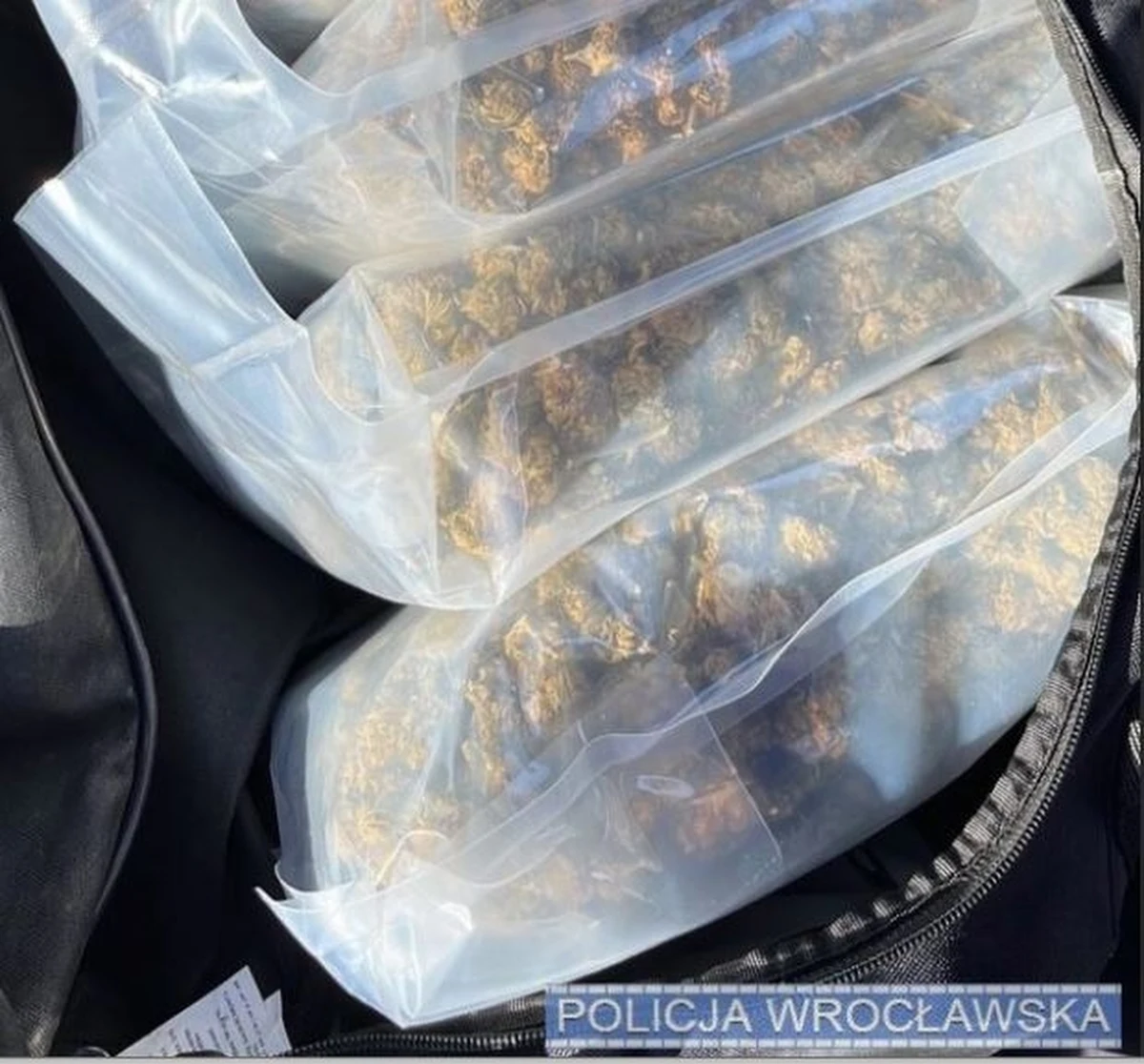 10 kilogramów narkotyków: amfetaminę, kokainę i marihuanę przejęli kryminalni z Komendy Miejskiej we Wrocławiu. Zatrzymali dwóch mężczyzn, którym za obrót znaczną ilością środków odurzających grozi do 12 lat więzienia.