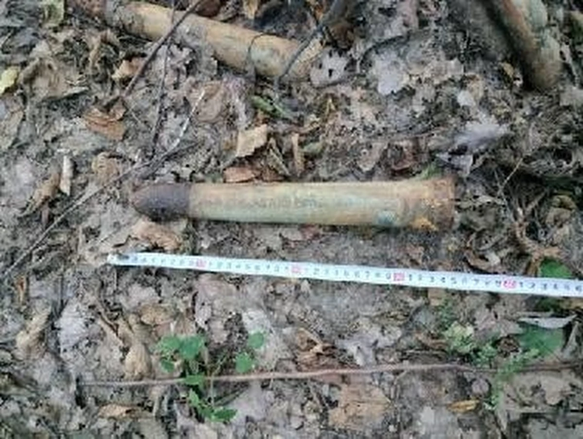 Nie takiego znaleziska spodziewał się grzybiarz, który wybrał się na zbiory do kompleksu leśnego w podkarpackiej Pawłowej. Zamiast dorodnych borowików znalazł 11 pocisków przeciwlotniczych, które pochodzą prawdopodobnie z czasów II wojny światowej. Znaleziskiem zajęli się saperzy z jednostki wojskowej w Rzeszowie.