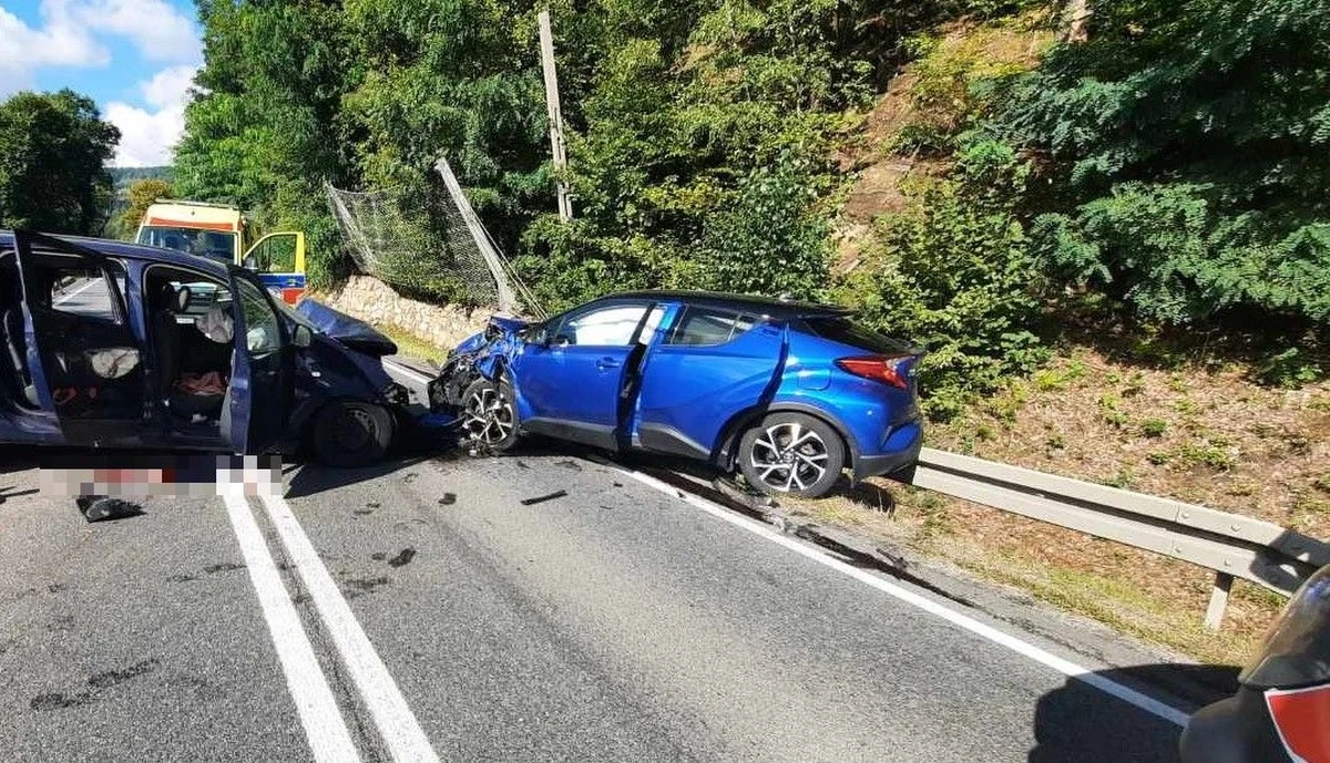 W miejscowości Będzieszyna w powiecie brzeskim w Małopolsce doszło do zderzenia vana z samochodem osobowym. Poszkodowanych zostało 11 osób, w tym dwoje dzieci i nastolatek. Na miejsce wysłano dwa śmigłowce Lotniczego Pogotowia Ratunkowego.