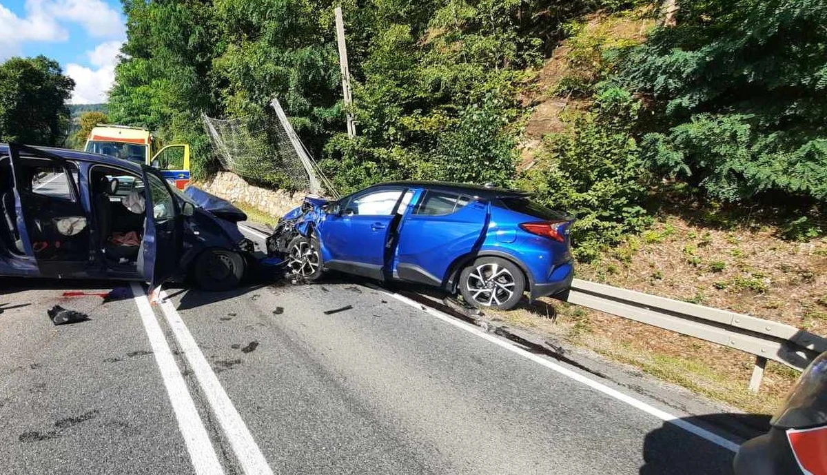 Kierowca dacii, który po zderzeniu z osobówką w małopolskiej miejscowości Będzieszyna koło Czchowa uciekł z miejsca wypadku, został odnaleziony. W wypadku poszkodowanych zostało w sumie 12 osób.