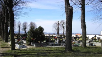 Zniszczone drzewa na cmentarzu. Parafia dostała pół miliona złotych kary 