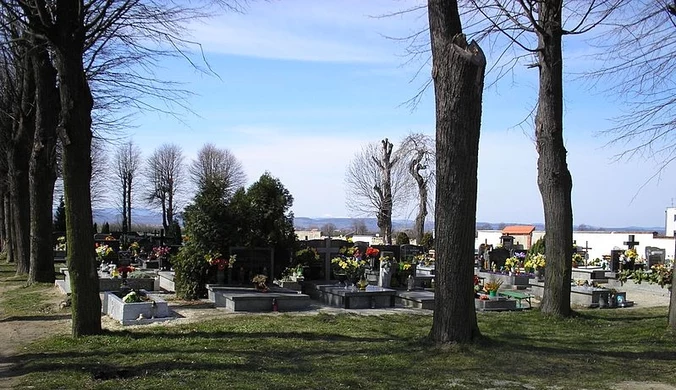 Zniszczone drzewa na cmentarzu. Parafia dostała pół miliona złotych kary 