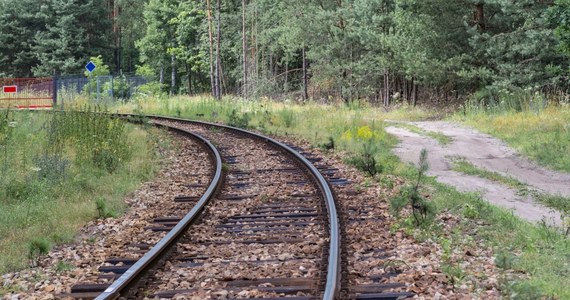 Mimo zakończenia wakacyjnego sezonu Stowarzyszenie Górnośląskich Kolei Wąskotorowych (SGKW) - operator zabytkowej kolejki wąskotorowej, łączącej Bytom z Miasteczkiem Śląskim - zaprasza na weekendowe jesienne przejazdy. Pociągi będą ciągnięte m.in. przez ponad 70-letni parowóz.