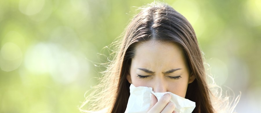 Wyjątkowo ciepły wrzesień zwiększa ryzyko pojawienia się alergii - przestrzega prof. Piotr Kuna. W rozmowie z RMF FM, wymienia czynniki, które mogą nasilić objawy uczulenia oraz radzi, jak zapobiegać chorobom alergicznym. 