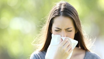 Efekt ciepłego września? Może być więcej alergii