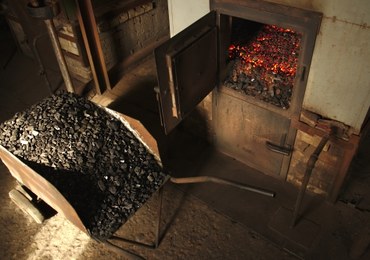 Poznań: Ponad 850 wniosków w naborze do Kawki Bis