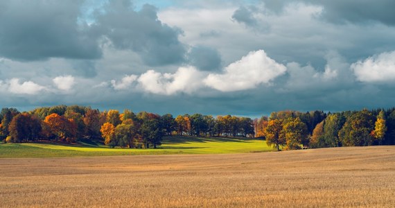 To ostatnie dni, by skorzystać z letniej pogody. Synoptycy zapowiadają, że w sobotę zacznie się jesień.