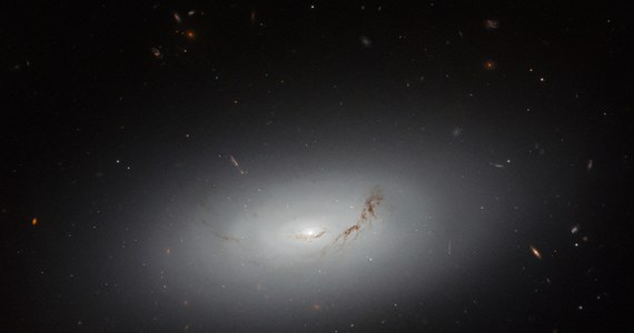NASA zaprezentowała zdjęcie galaktyki NGC 3156, w której supermasywna czarna dziura pochłonęła znacznie więcej gwiazd ze swojego otoczenia niż wynosi średnia dla innych podobnych galaktyk.