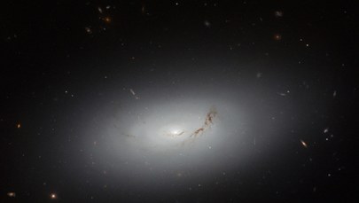 Oto galaktyka NGC 3156. NASA pokazała zdjęcia Teleskopu Hubble’a