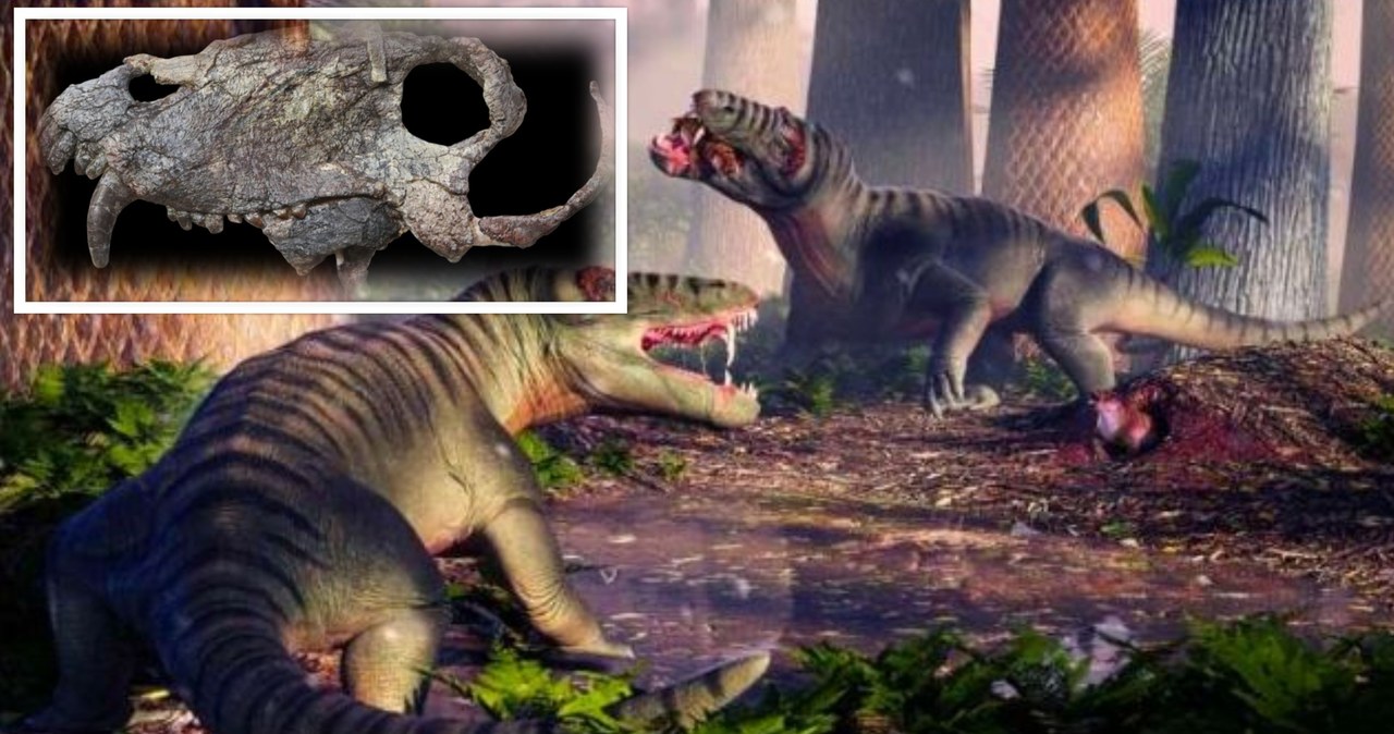 Chociaż to dinozaury zasłynęły jako najbardziej przerażające prehistoryczne drapieżniki, wiele wskazuje na to, że 40 mln lat przed nimi po Ziemi przechadzały się nie mniej imponujące bestie. 