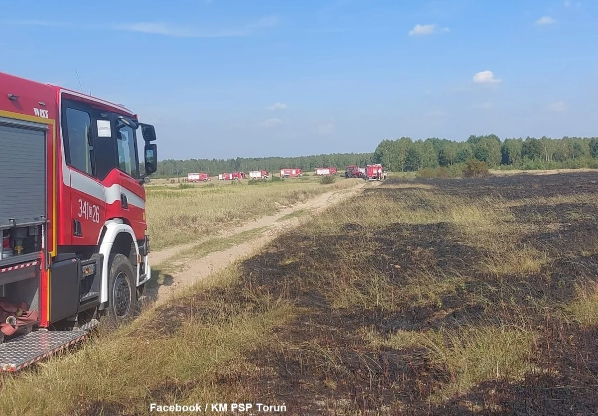 Dwadzieścia zastępów straży pożarnej gasiło pożar lasu, który wybuchł na podtoruńskim poligonie wojskowym. Ogień objął około 1,5 ha powierzchni - poinformował dyżurny Komendy Wojewódzkiej Państwowej Straży Pożarnej w Toruniu.