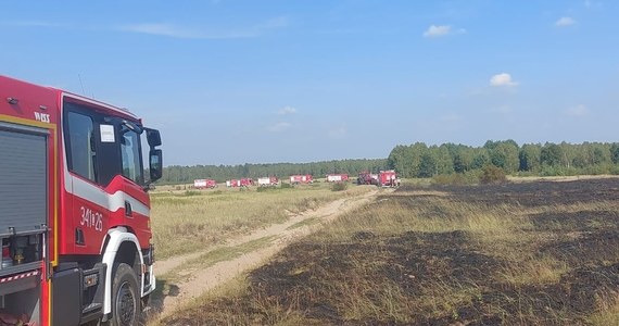 Dwadzieścia zastępów straży pożarnej gasiło pożar lasu, który wybuchł na podtoruńskim poligonie wojskowym. Ogień objął około 1,5 ha powierzchni - poinformował dyżurny Komendy Wojewódzkiej Państwowej Straży Pożarnej w Toruniu.