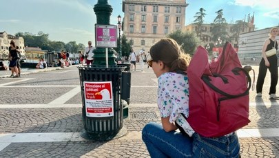 Wenecja walczy z agresywnymi mewami. Władze ostrzegają turystów 