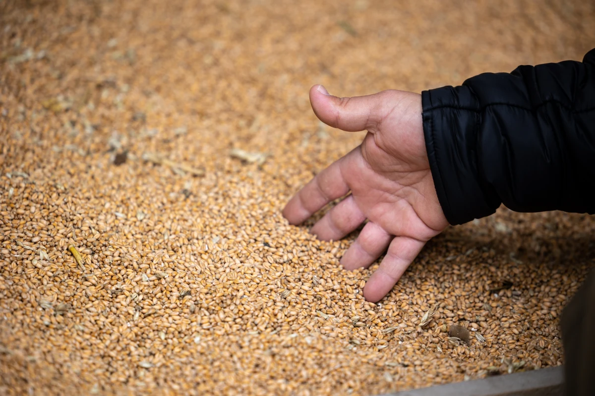 Ukraina złożyła skargę do Światowej Organizacji Handlu (WTO) na Polskę, Węgry i Słowację w związku z przedłużeniem przez te kraje embarga na ukraińskie produkty rolne - poinformował Reuters.