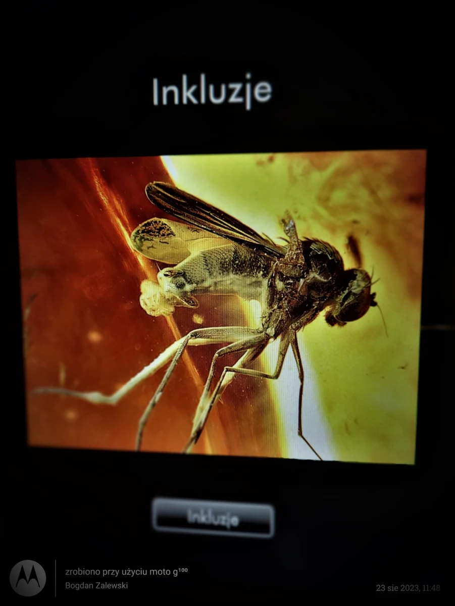 1. Impresje po 17.09.1939.