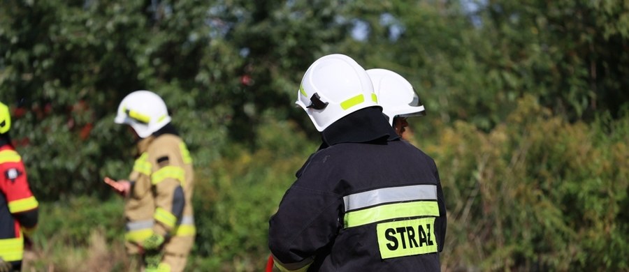 Awionetka rozbiła się w miejscowości Brzeska Wola na Mazowszu. Ranny pilot został zabrany do szpitala. Później policja przekazała, że 55-latek zmarł.