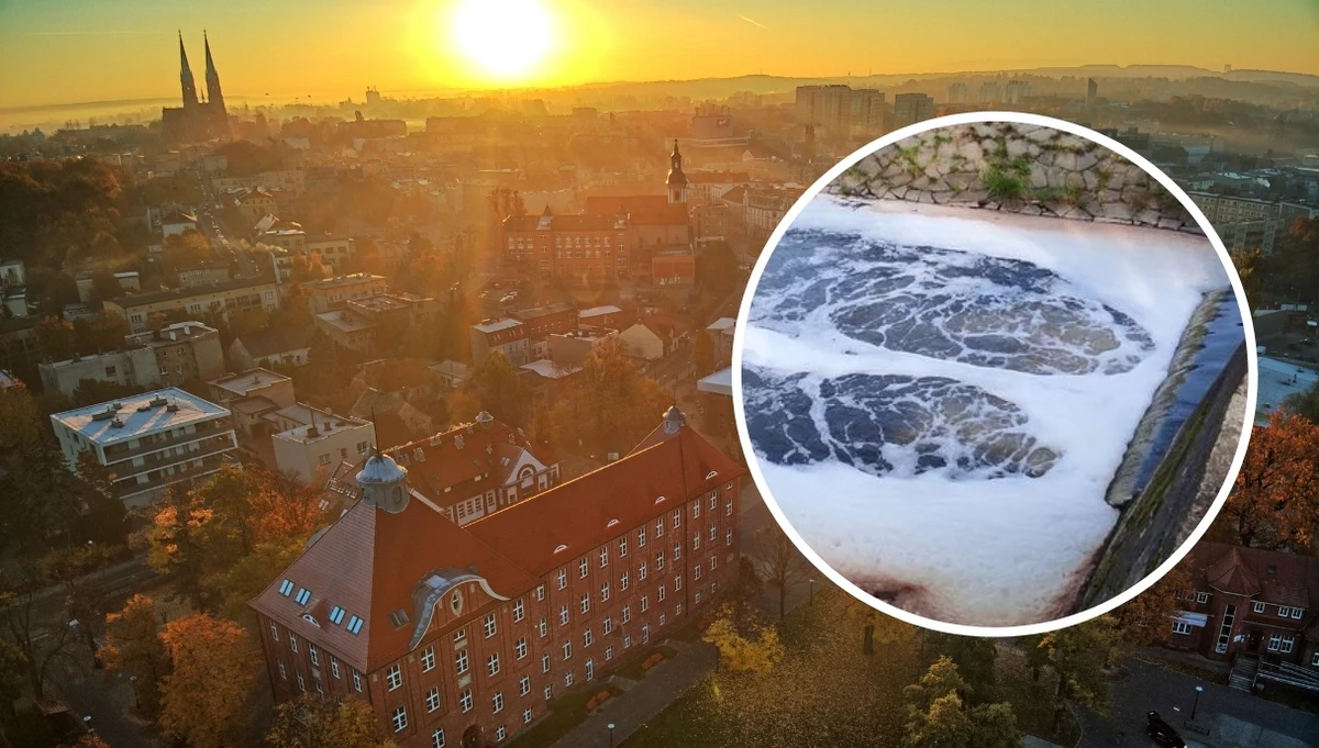 "Woda w Nacynie przybrała biały kolor i zaczęła się pienić" - poinformował Urząd Miasta Rybnika (woj. śląskie). Jak dodał, "niepokojące zjawisko zauważono na wysokości ul. Daszyńskiego i Wierzbowej (bulwary)".
