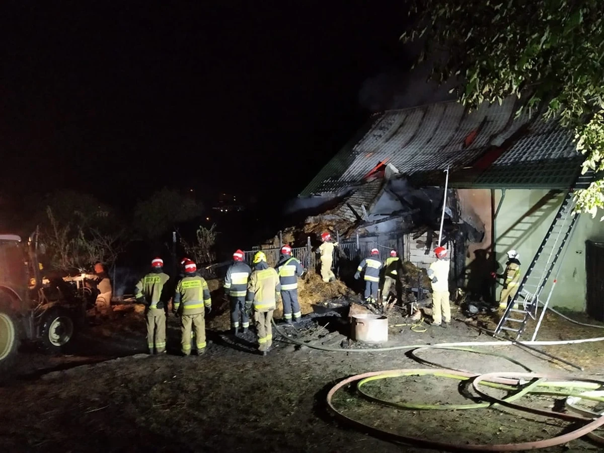 Tragiczny pożar w stajni w Przemyślu. Ogień strawił drewniano-murowany budynek, w którym znajdowały się zwierzęta. Spłonęło 6 koni.