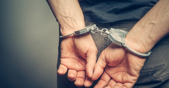 ​Do 12 lat więzienia grozi 36-latkowi, który w niedzielę w Gnieźnie (woj. wielkopolskie) - mając ponad 2 promile alkoholu w organizmie - podczas przestawiania auta potrącił swoją 15-miesieczną córkę. Sąd tymczasowo aresztował podejrzanego.