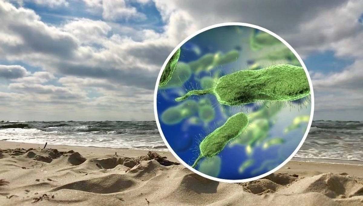 Sanepid niemieckiego kraju związkowego Meklemburgia-Pomorze Przednie ostrzega przed mięsożerną bakterią w Bałtyku. Na swojej stronie pisze o pierwszej ofierze śmiertelnej. To 74-letni urlopowicz, który zaraził się podczas kąpieli w morzu.