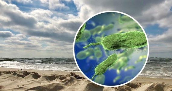 Sanepid niemieckiego kraju związkowego Meklemburgia-Pomorze Przednie ostrzega przed mięsożerną bakterią w Bałtyku. Na swojej stronie pisze o pierwszej ofierze śmiertelnej. To 74-letni urlopowicz, który zaraził się podczas kąpieli w morzu.