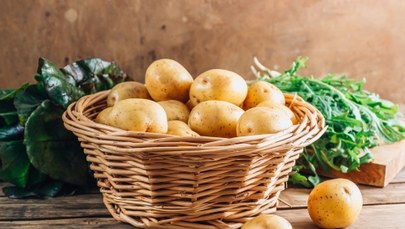 „Smak Pyry 2023”. Gdzie najlepsze potrawy z ziemniaków?