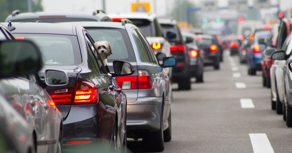 W piątek w całym kraju obchodzony będzie Dzień bez Samochodu. Tego dnia - posiadając przy sobie ważny dowód rejestracyjny samochodu - można będzie podróżować na liniach ZTM Poznań za darmo. Bez biletu - do granicy województwa - będą mogli pojechać też pasażerowie lokalnych pociągów.