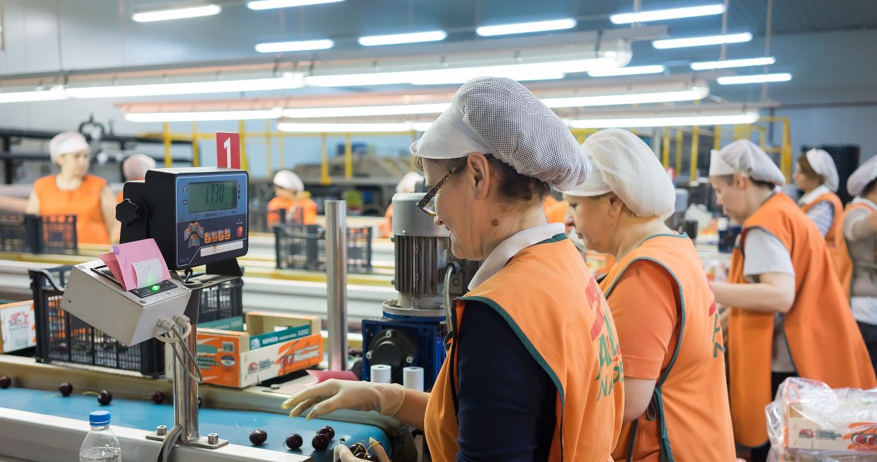 Nie zwolnią i nie obniżą pensji. Tak działa wiek ochronny