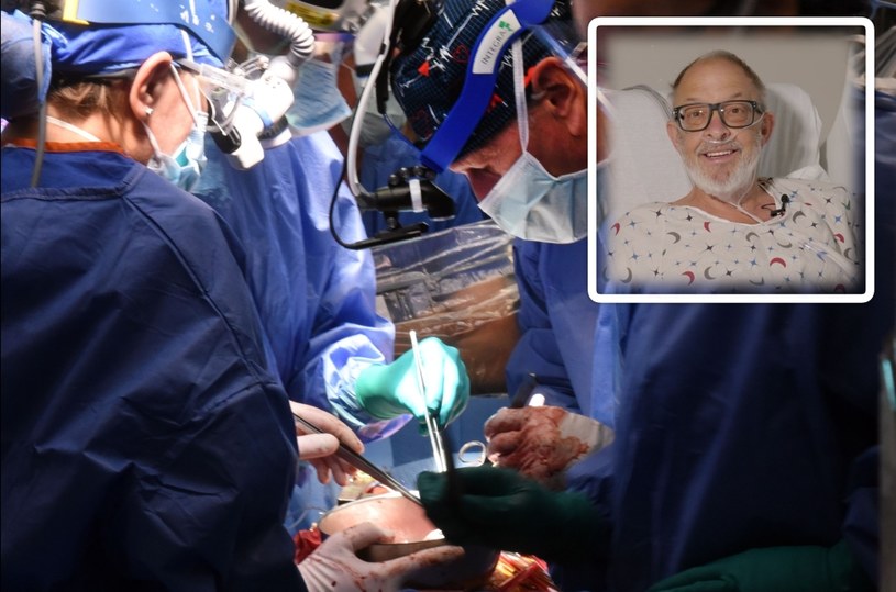 Lekarze Centrum Medycznego University of Maryland ponownie przeprowadzili innowacyjną ksenotransplantację. Po raz drugi w historii żyjący pacjent otrzymał świńskie serce.
