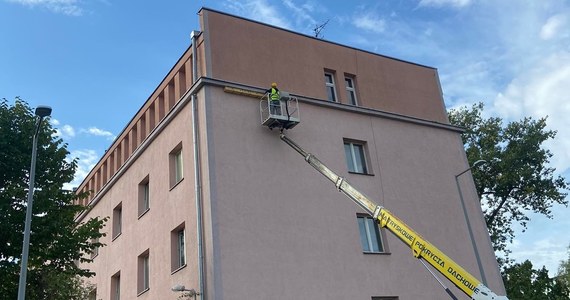 Łódź jest miastem przyjaznym jerzykom i właśnie montowanych jest 30 budek lęgowych. Te ptaki są bardzo pożądane w mieście, bo świetnie wyławiają nielubiane komary i inne dokuczliwe insekty.