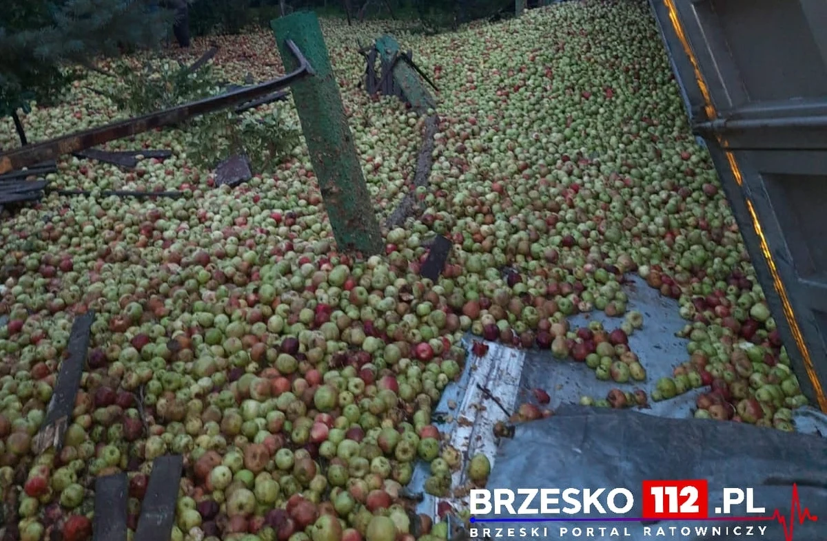 Jedna osoba została zabrana do szpitala w wyniku wypadku ciężarówki w Przyborowie w Małopolsce. Do rowu wpadły tony jabłek, które były przewożone przez pojazd.
